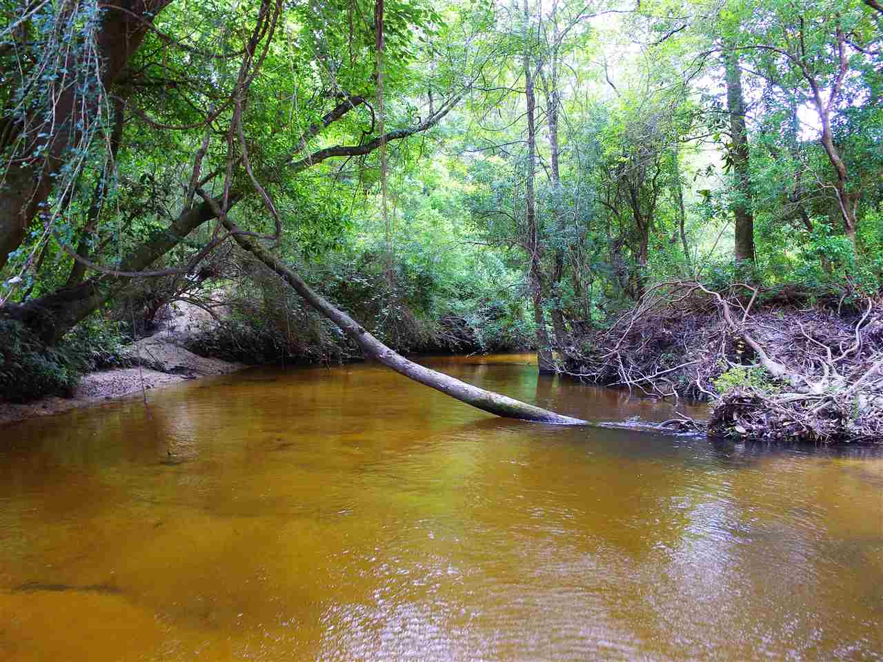 13240 County Road 54 Daphne, AL 36526 - Photo 7 of 18