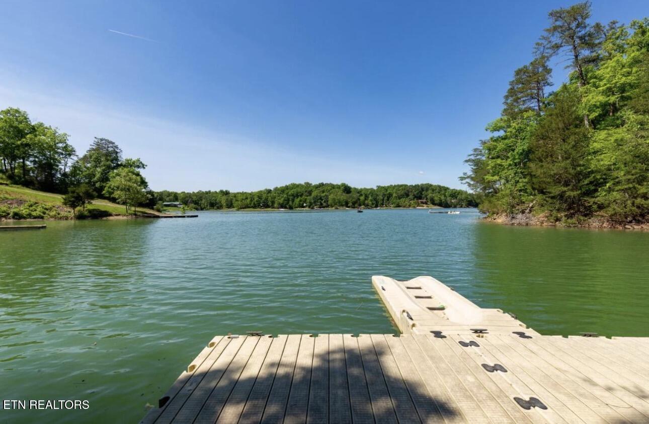 2145 Stillhouse Road Dandridge, TN 37725 - Photo 5 of 36 Dock