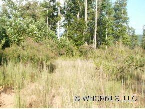 70-72 Wilson Road Spruce Pine, NC 28777 - Photo 4 of 15 Gallery Image 4