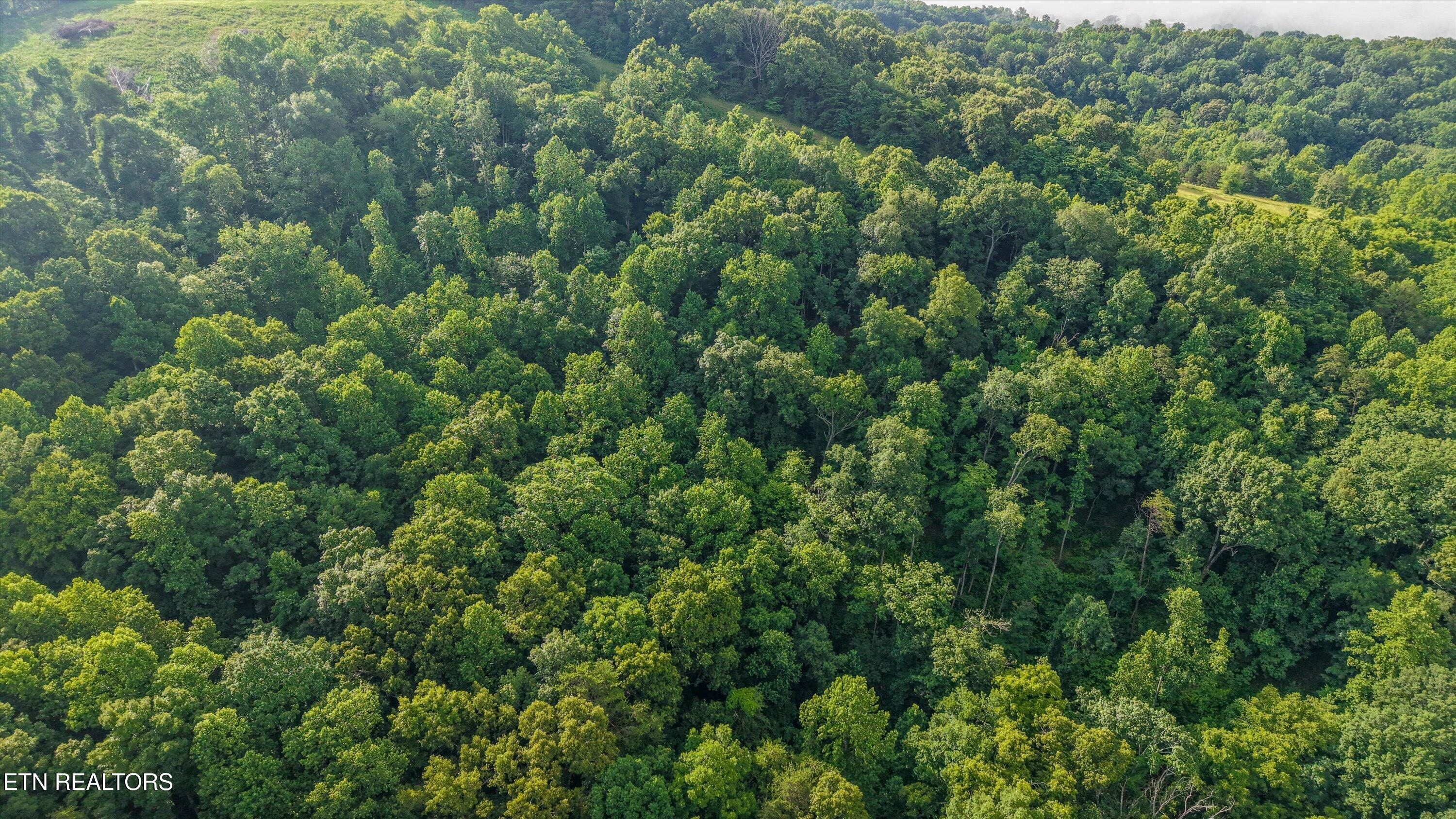 1-Graves Hollow Rd01