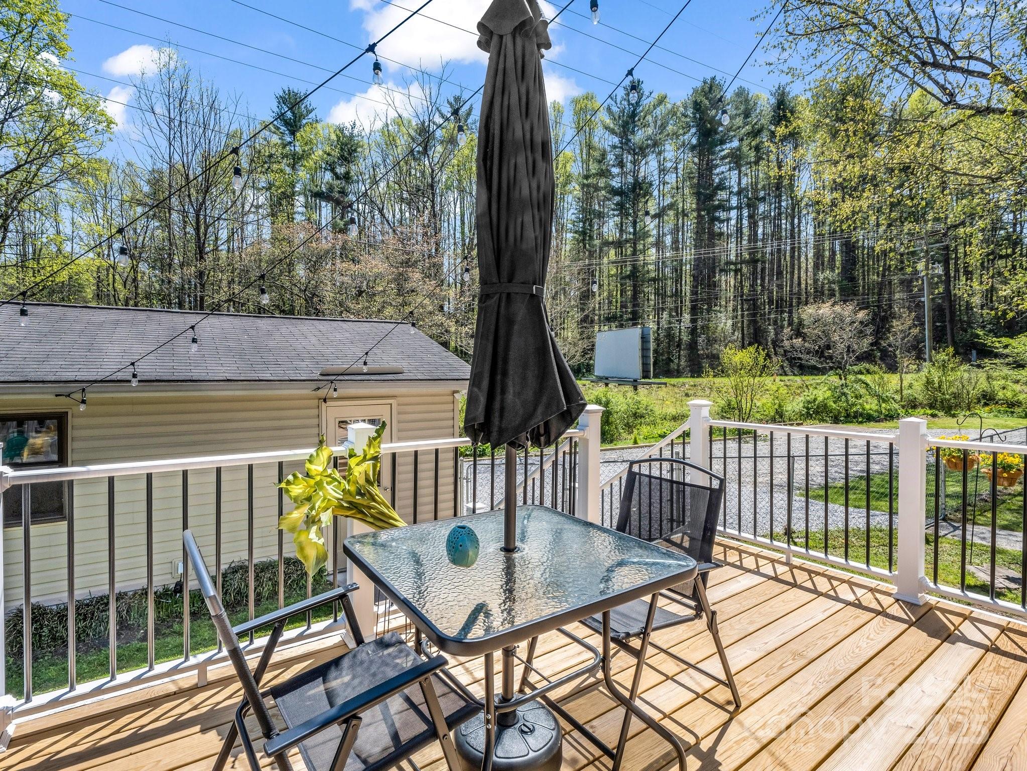 565 Nicholson Creek Road Brevard, NC 28712 - Photo 22 of 45