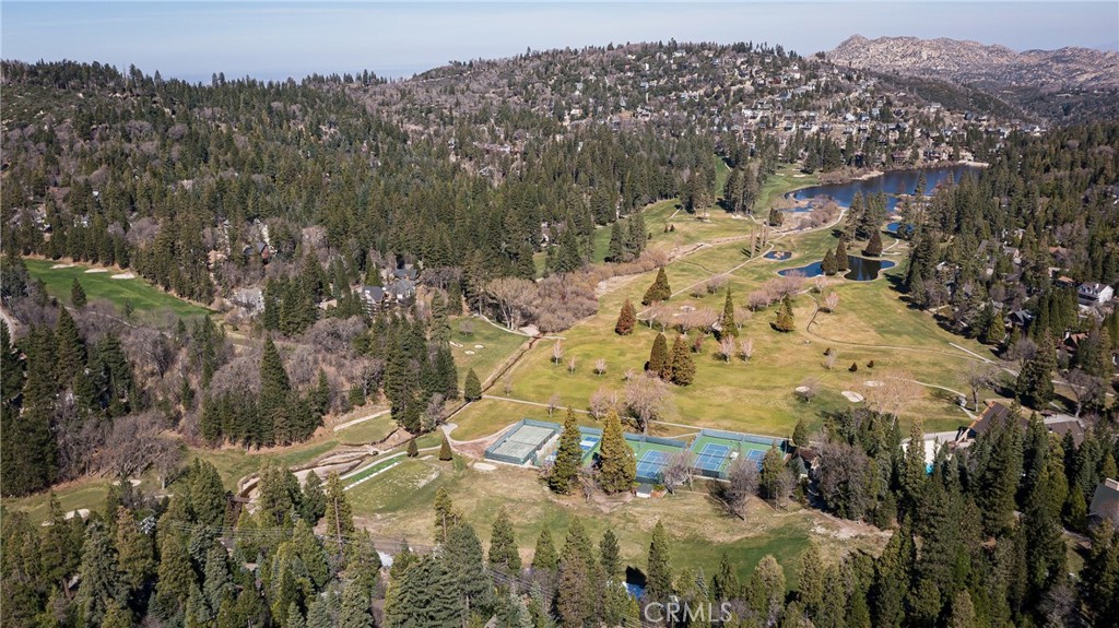 26980 Everest Road Lake Arrowhead, CA 92391 - Photo 7 of 49