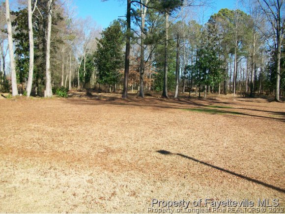 8716 Godwin-Falcon Road Godwin, NC 28344 - Photo 16 of 25 a view of swimming pool with trees