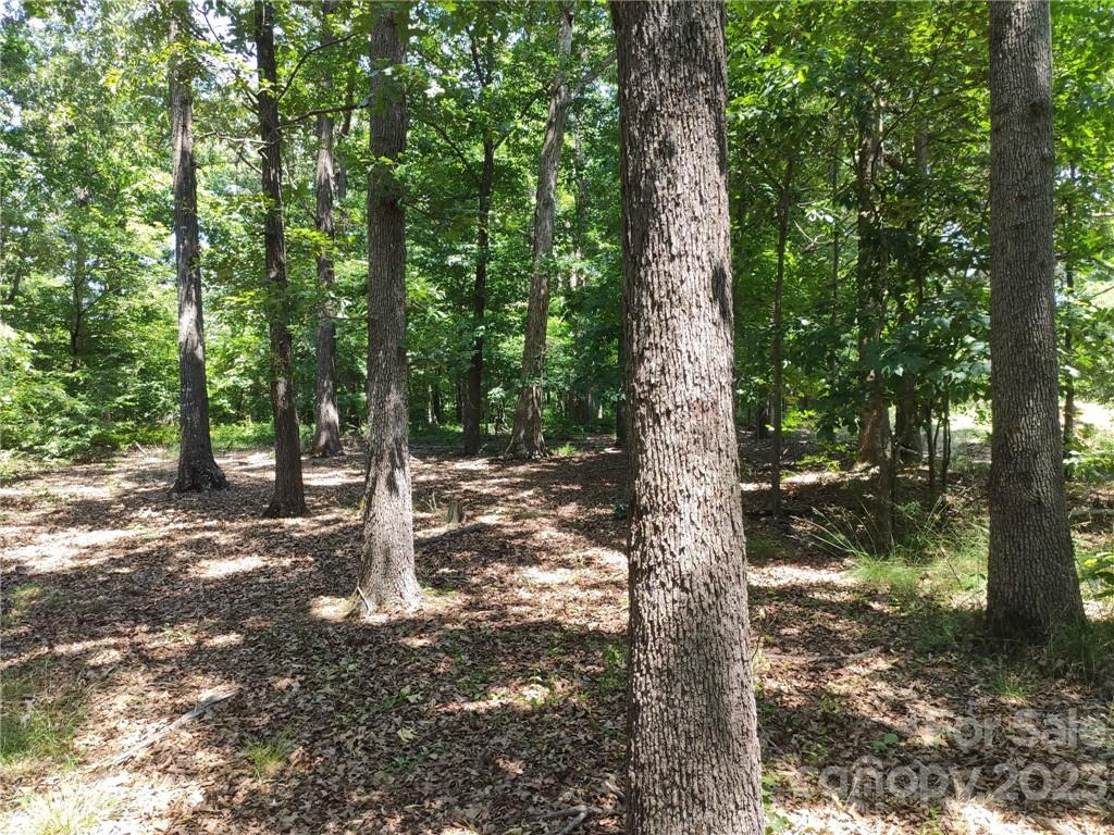 6910 Morgan Mill Road Monroe, NC 28110 - Photo 5 of 10