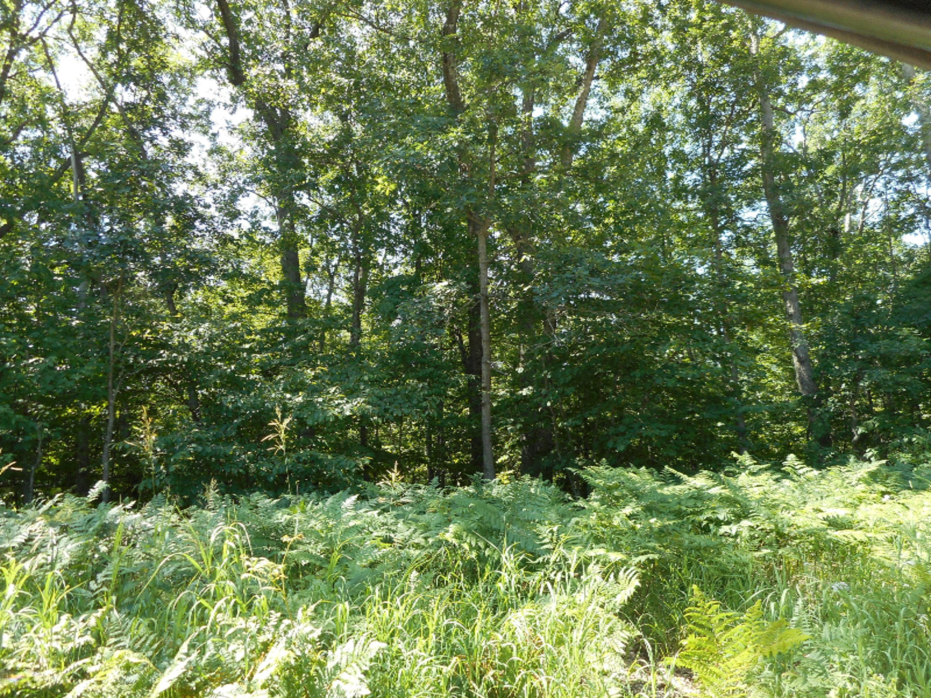 2301 Clay Road Rothbury, MI 49452 - Photo 1 of 4 DSCN0835