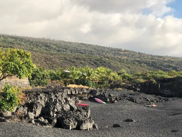 a view of a mountain with a lot of trees