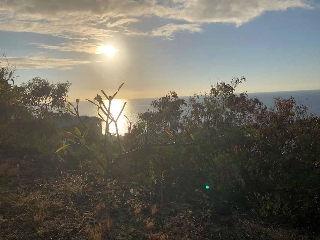 263 Japonica Road Captain Cook, HI 96704 - Photo 9 of 10