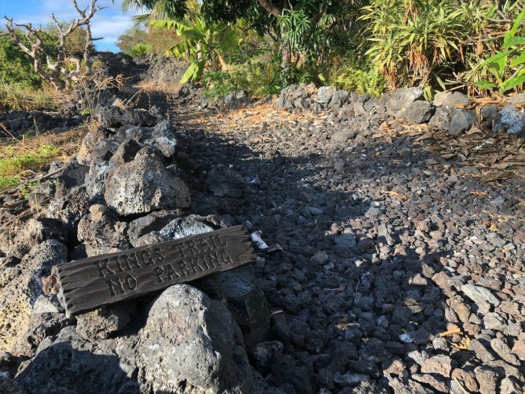 263 Japonica Road Captain Cook, HI 96704 - Photo 10 of 10