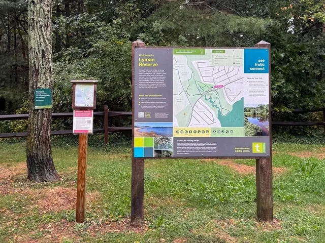 a picture of a book and a bed