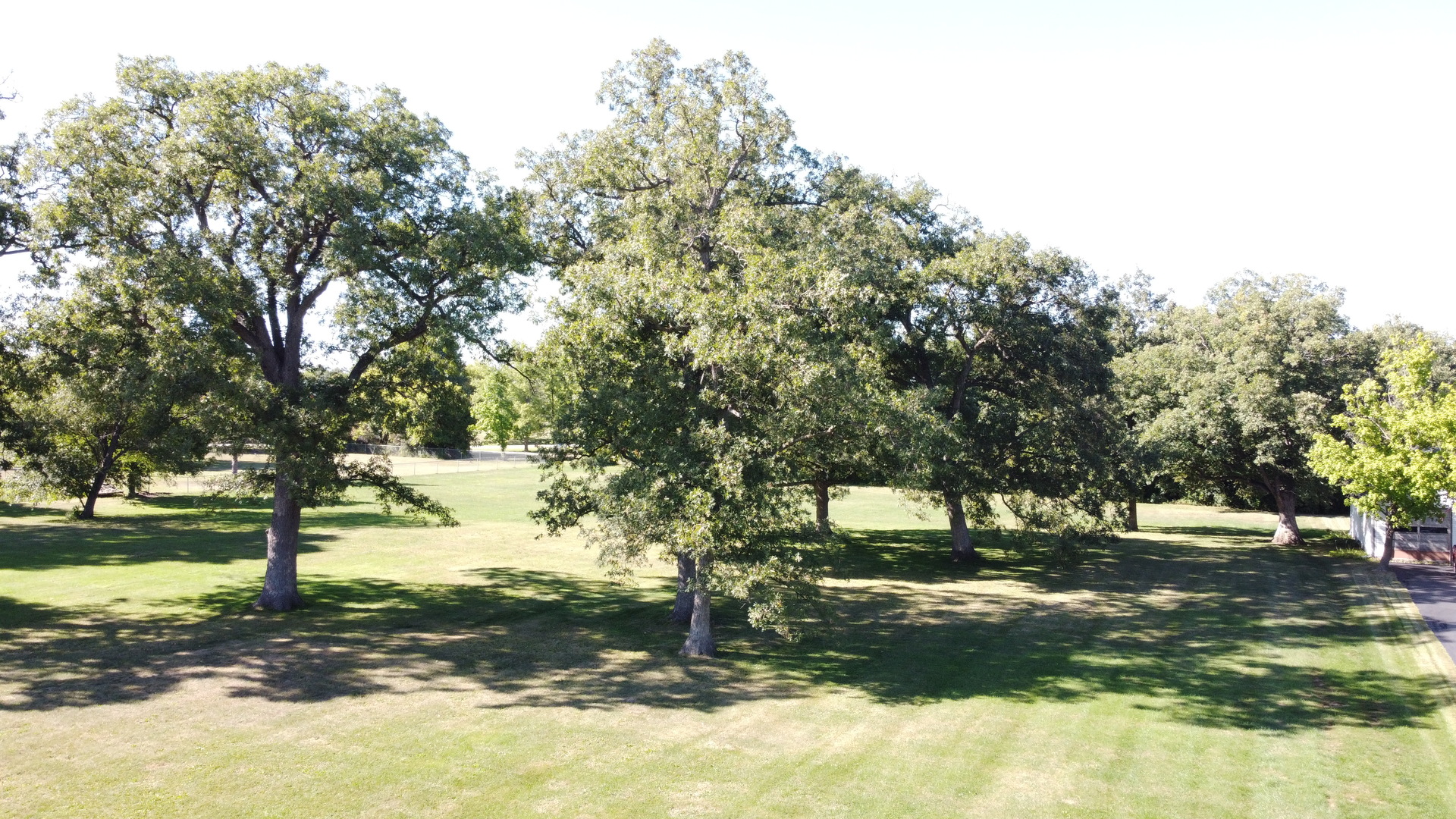 0 Whipple Road Sycamore, IL 60178 - Photo 3 of 6 a view of yard