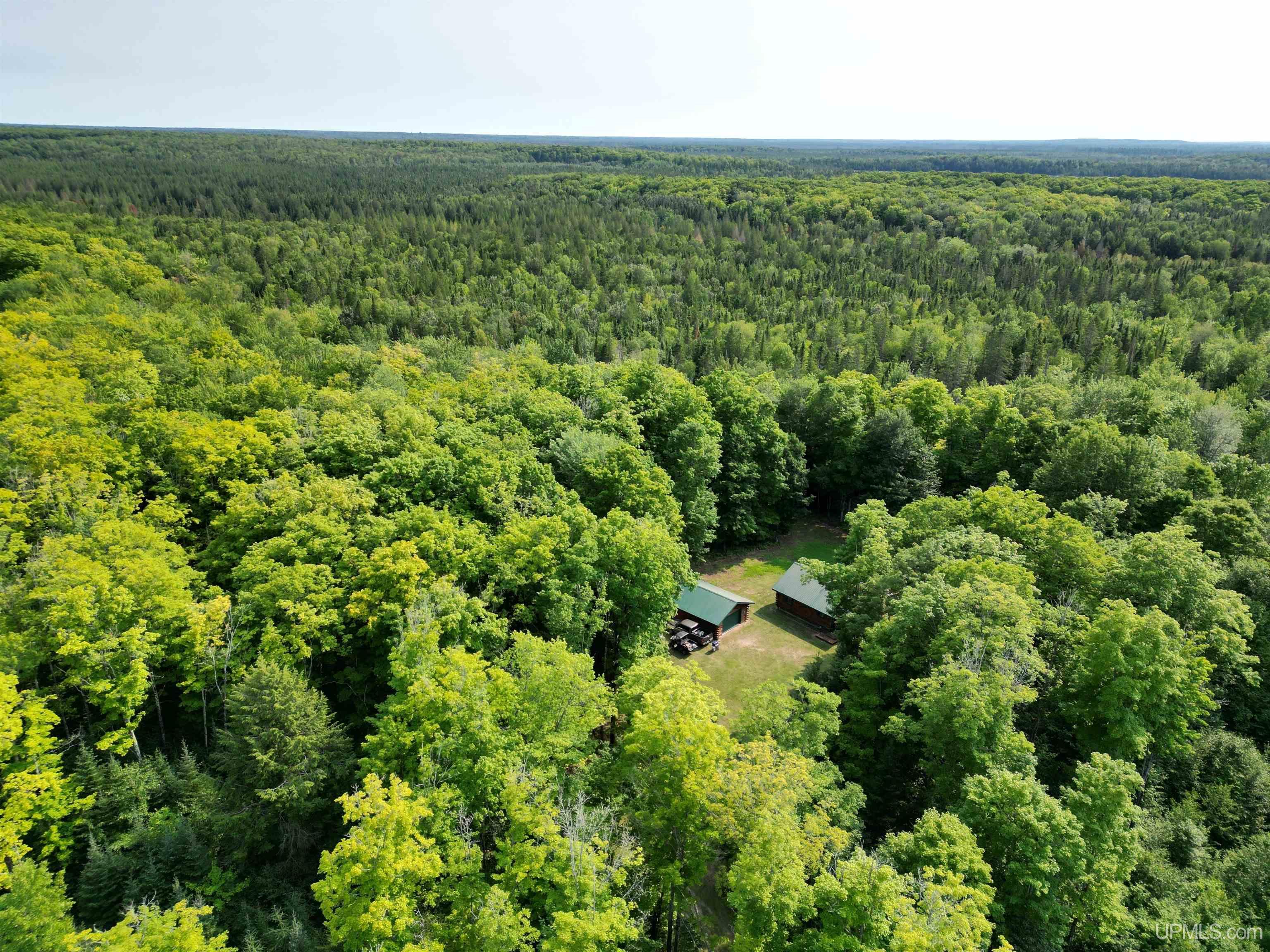 5368 Camp 23 Road Germfask, MI 49836 - Photo 54 of 61 Gallery Image 54