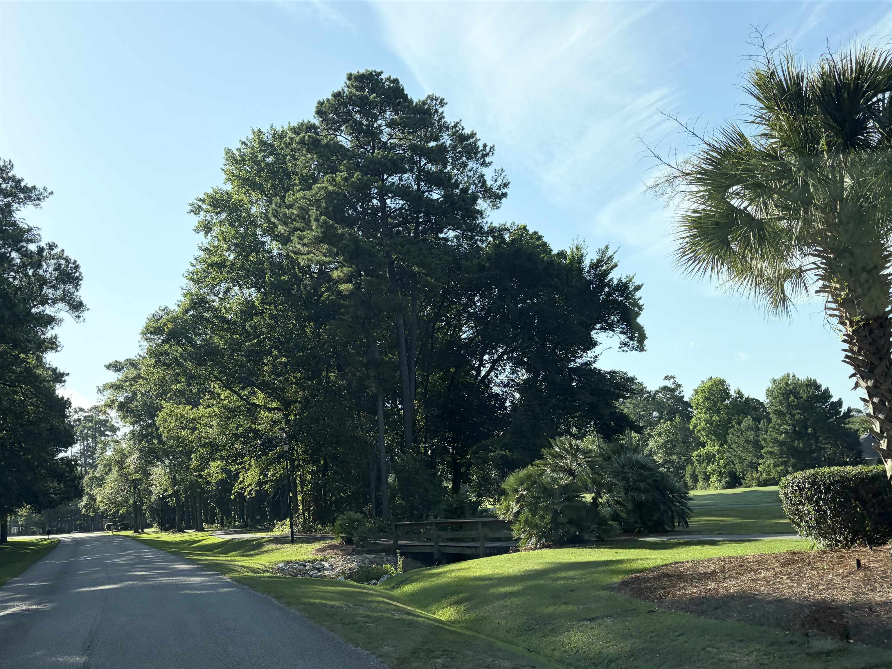 4502 Firethorne Drive Murrells Inlet, SC 29576 - Photo 65 of 66