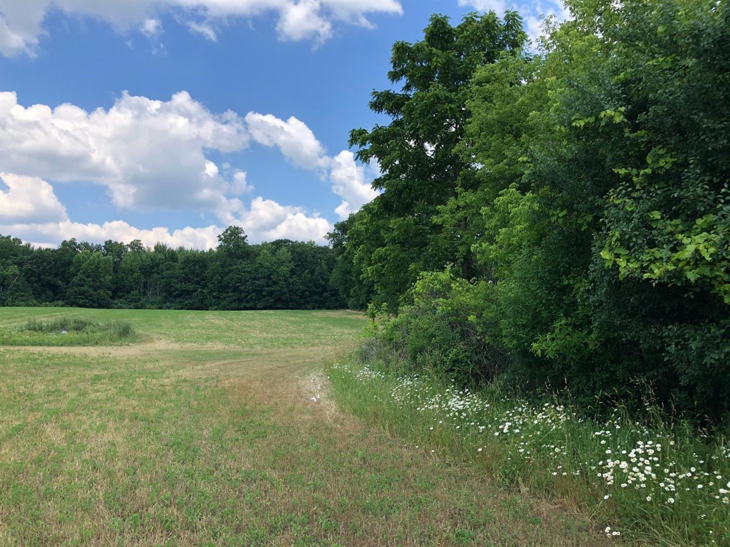 0 Sutton Road Whitmore Lake, MI 48189 - Photo 16 of 20 Photo 16