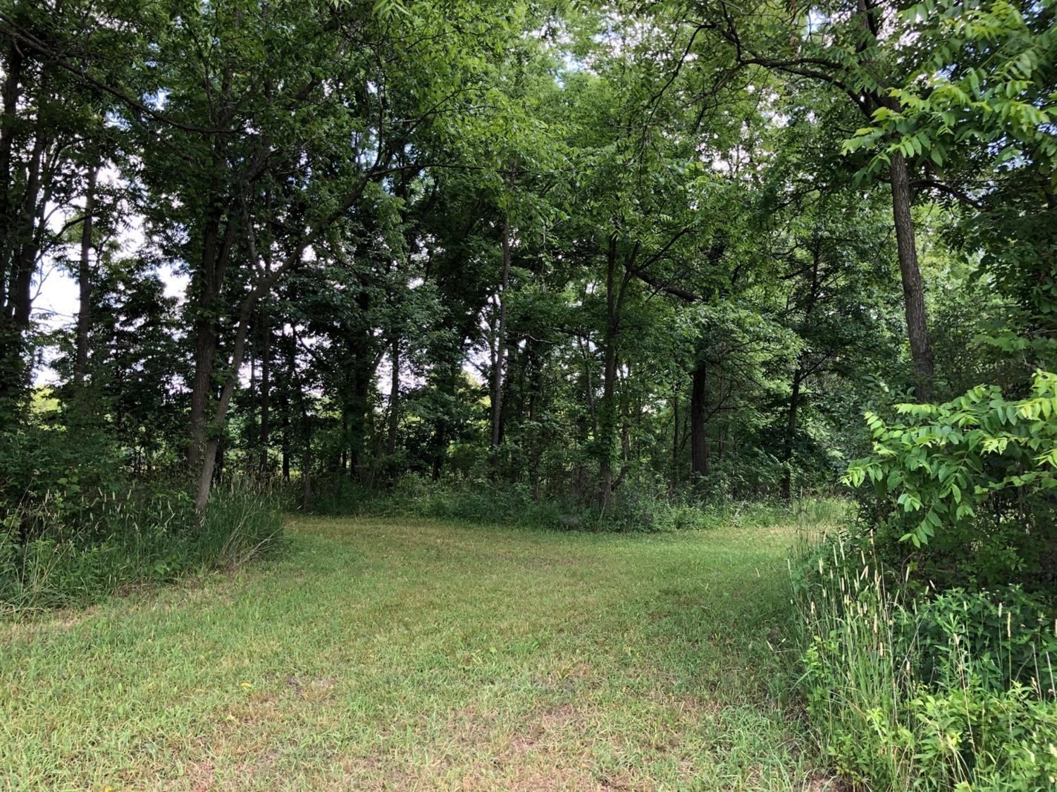 0 Sutton Road Whitmore Lake, MI 48189 - Photo 9 of 20 Photo 9