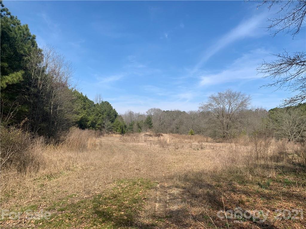 688 McLendon Road Morven, NC 28119 - Photo 5 of 9 a view of lake with mountain