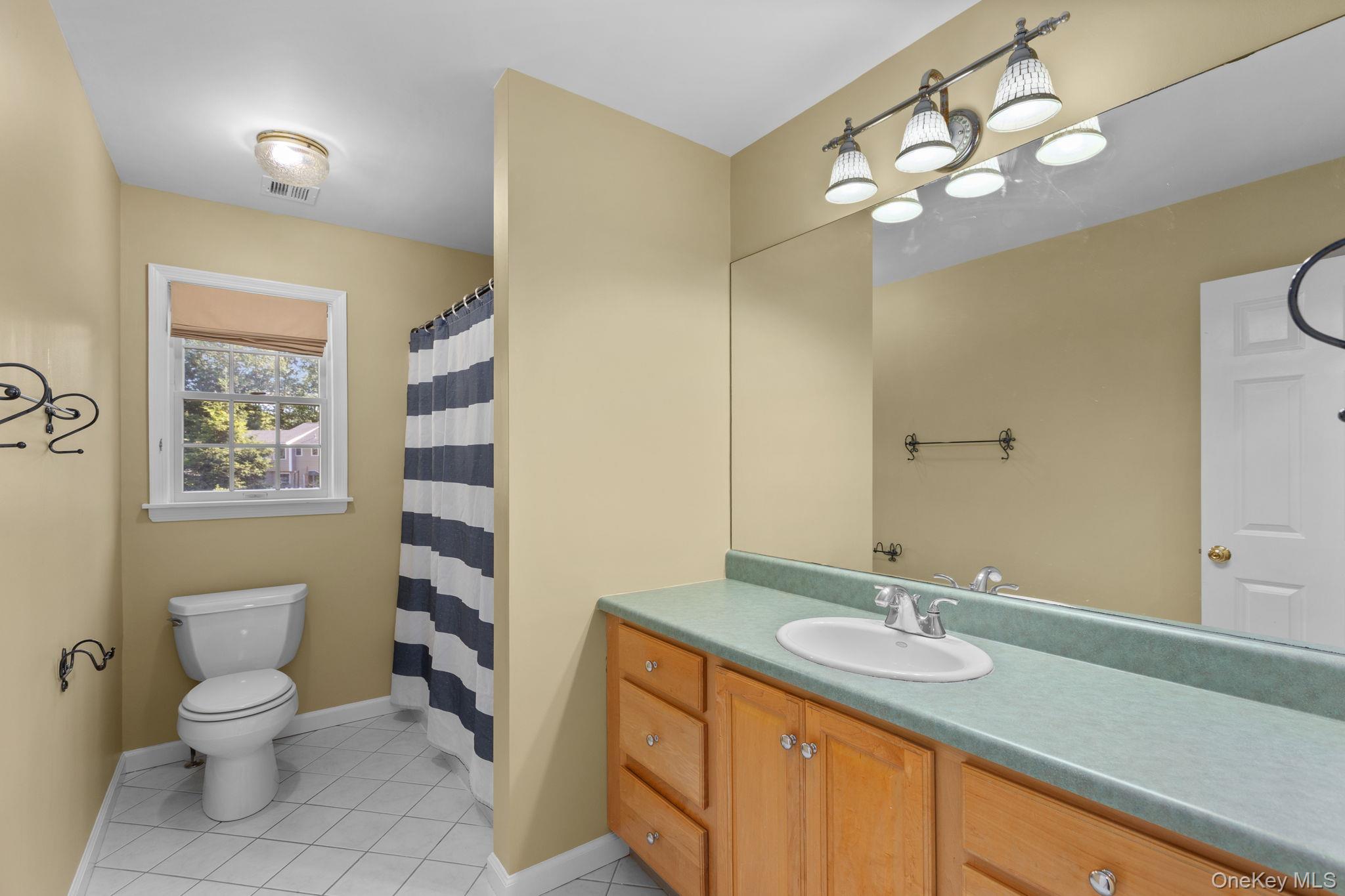 2211 Crompond Road Yorktown Heights, NY 10598 - Photo 22 of 38 a bathroom with a sink a toilet and a mirror