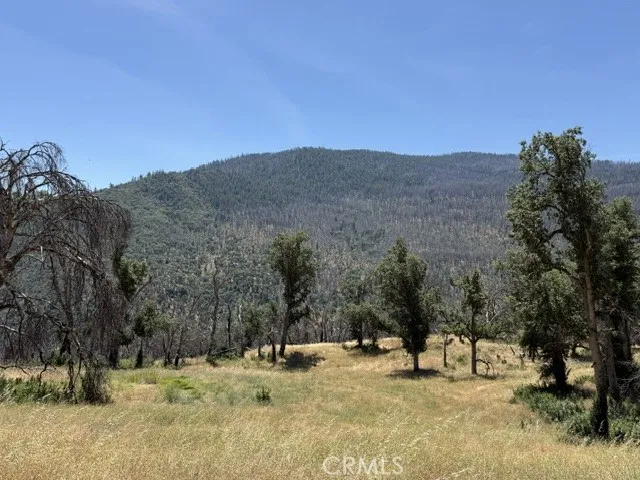 24 North 35 Road Paskenta, CA 96074 - Photo 27 of 41 View from cabin area