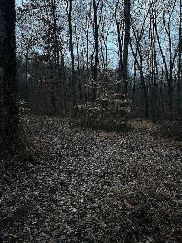 993 Tolliver Road Logan, OH 43138 - Photo 21 of 21