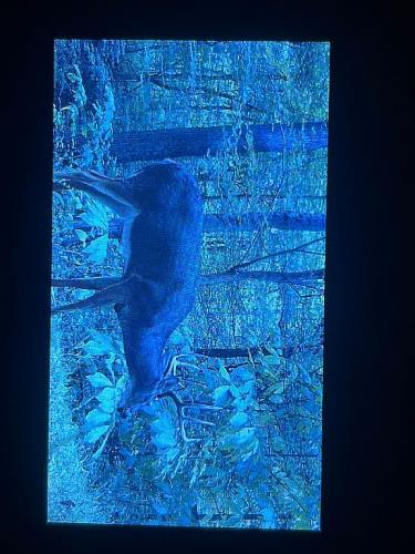 993 Tolliver Road Logan, OH 43138 - Photo 8 of 21