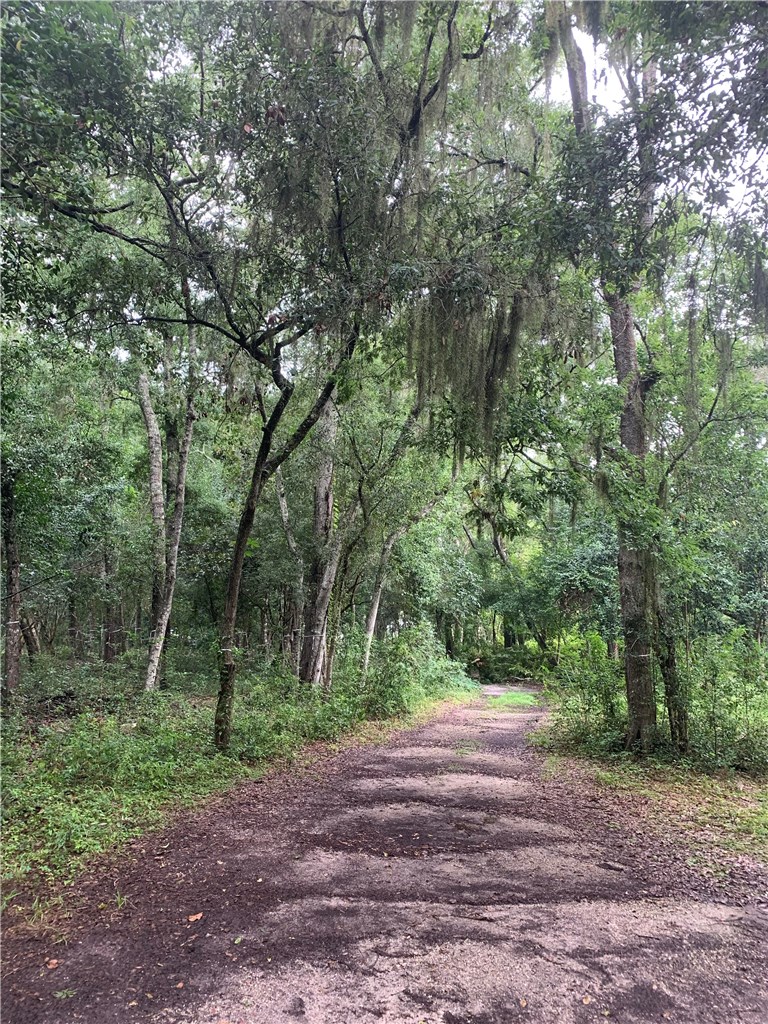 Lot 2 Gerbing Road Fernandina Beach, FL 32034 - Photo 1 of 3 Gallery Image 1