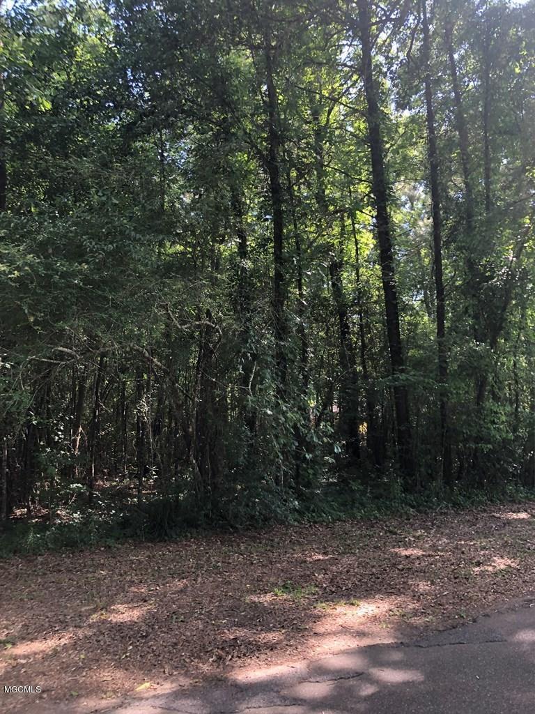 0 Williamsburg Road Picayune, MS 39466 - Photo 2 of 3 Lot 8 Pic 3 Williamsburg