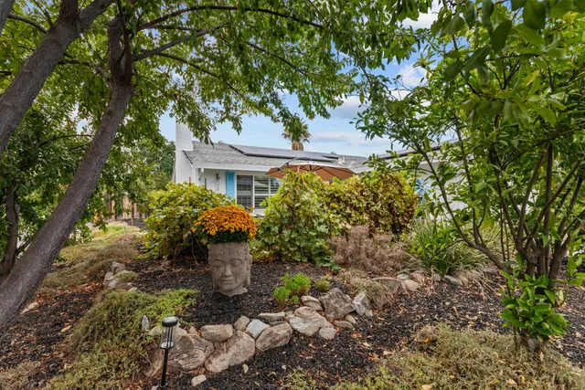 a backyard of a house with lots of green space