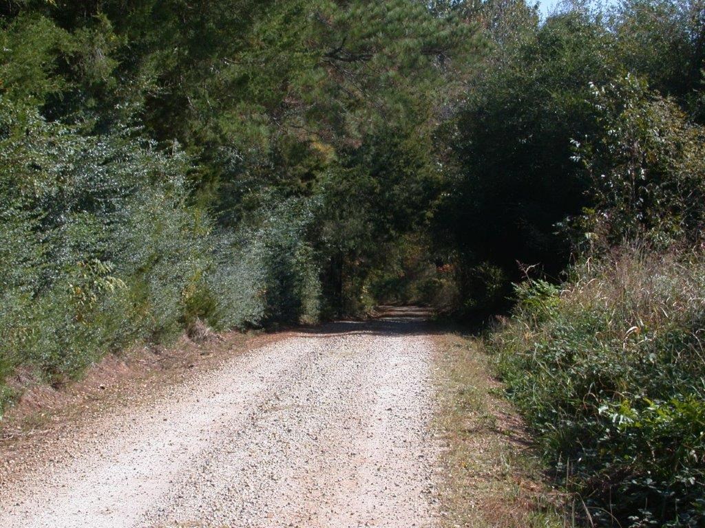 - Larkin Rice Road Saluda, SC 29138 - Photo 2 of 70
