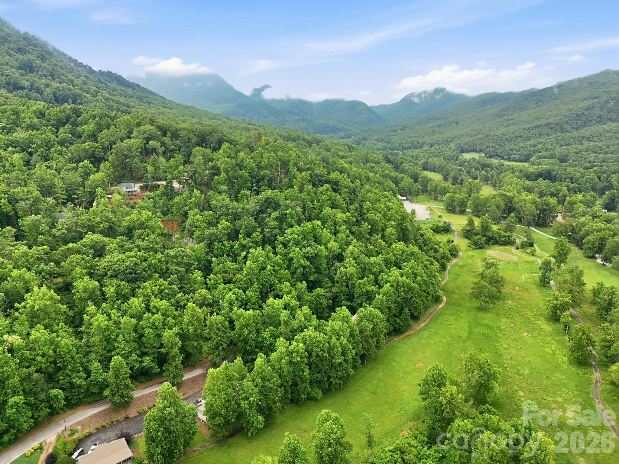 9999 Blue Ridge Drive South Marion, NC 28752 - Photo 15 of 17