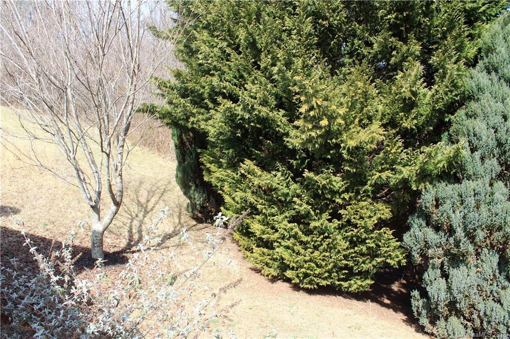 374 Bailey Road Candler, NC 28715 - Photo 34 of 36 Gallery Image 34
