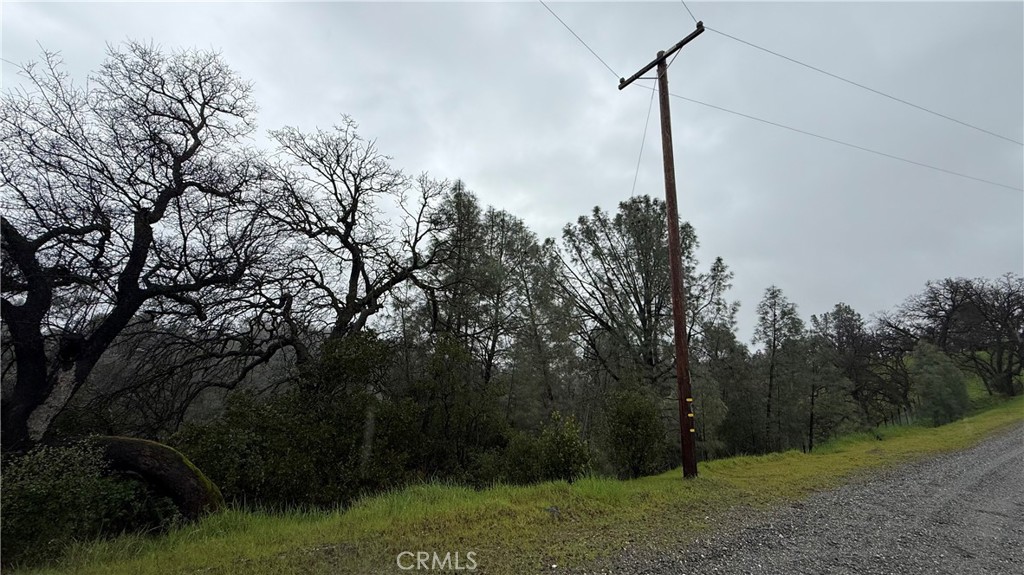 16370 Oakridge Road Corning, CA 96021 - Photo 2 of 12 a view of a yard
