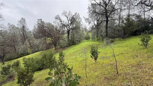 a view of yard with green space