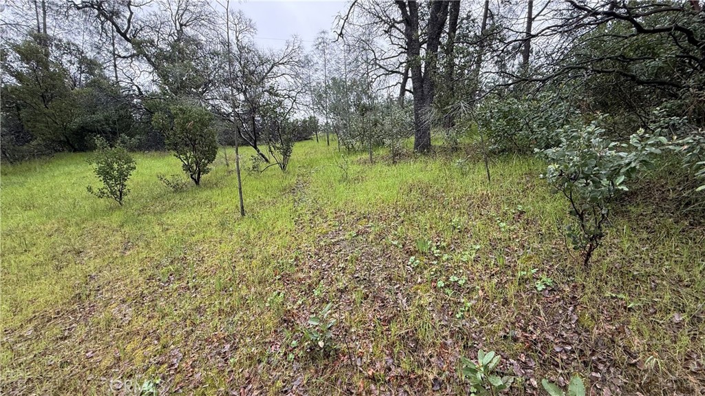 16370 Oakridge Road Corning, CA 96021 - Photo 8 of 12 a view of a garden