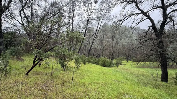 a view of swimming pool with a yard