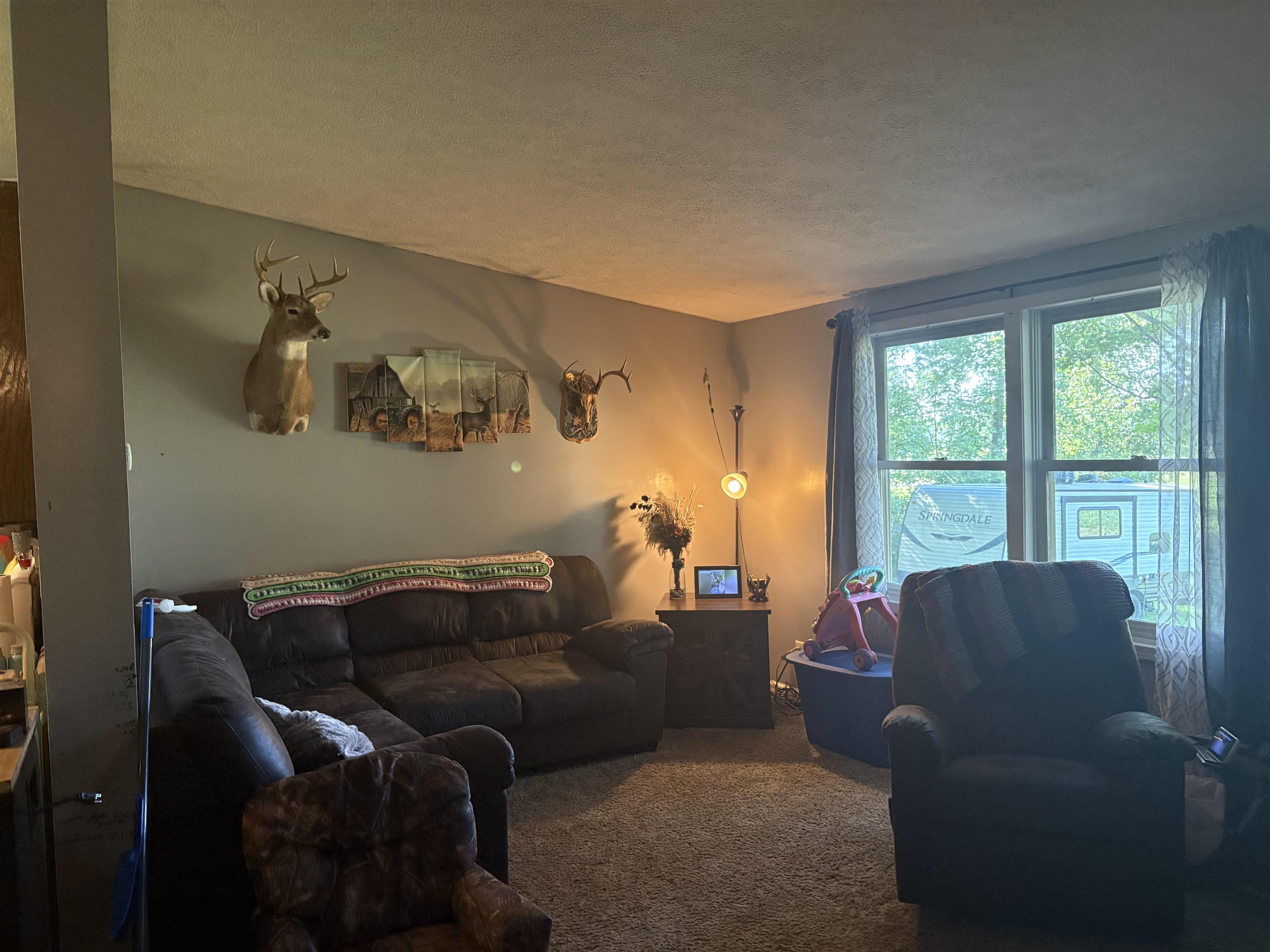 15887 South Hemlock Road Chesaning, MI 48616 - Photo 6 of 30