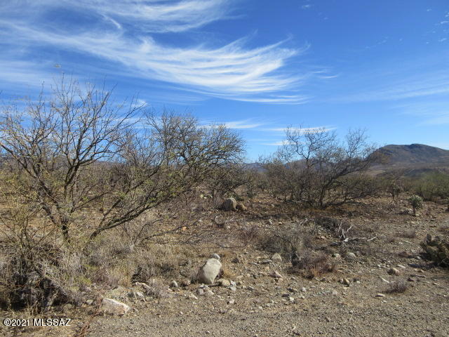 1874 Circulo Glorieta, Unit 301 Rio Rico, AZ 85648 - Photo 4 of 16