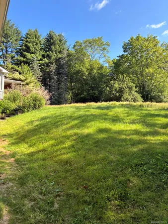 a view of a yard with an trees in front of it