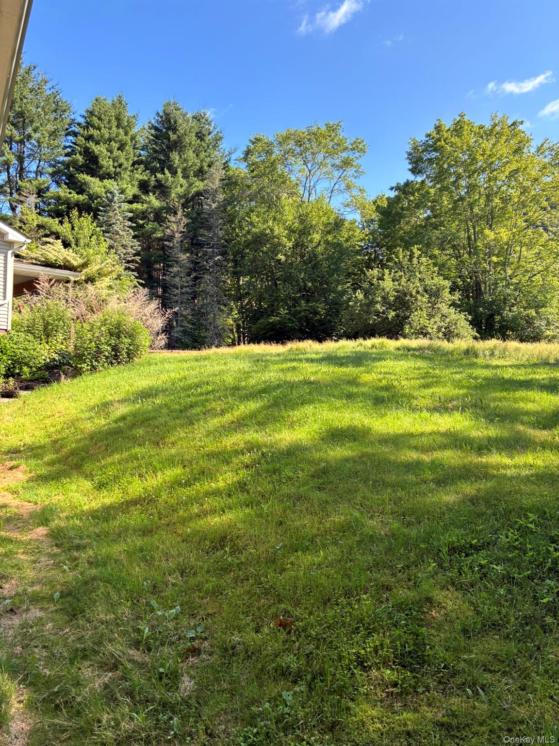 1140 Harvard Road East Branch, NY 13756 - Photo 14 of 29 a big yard with lots of green space