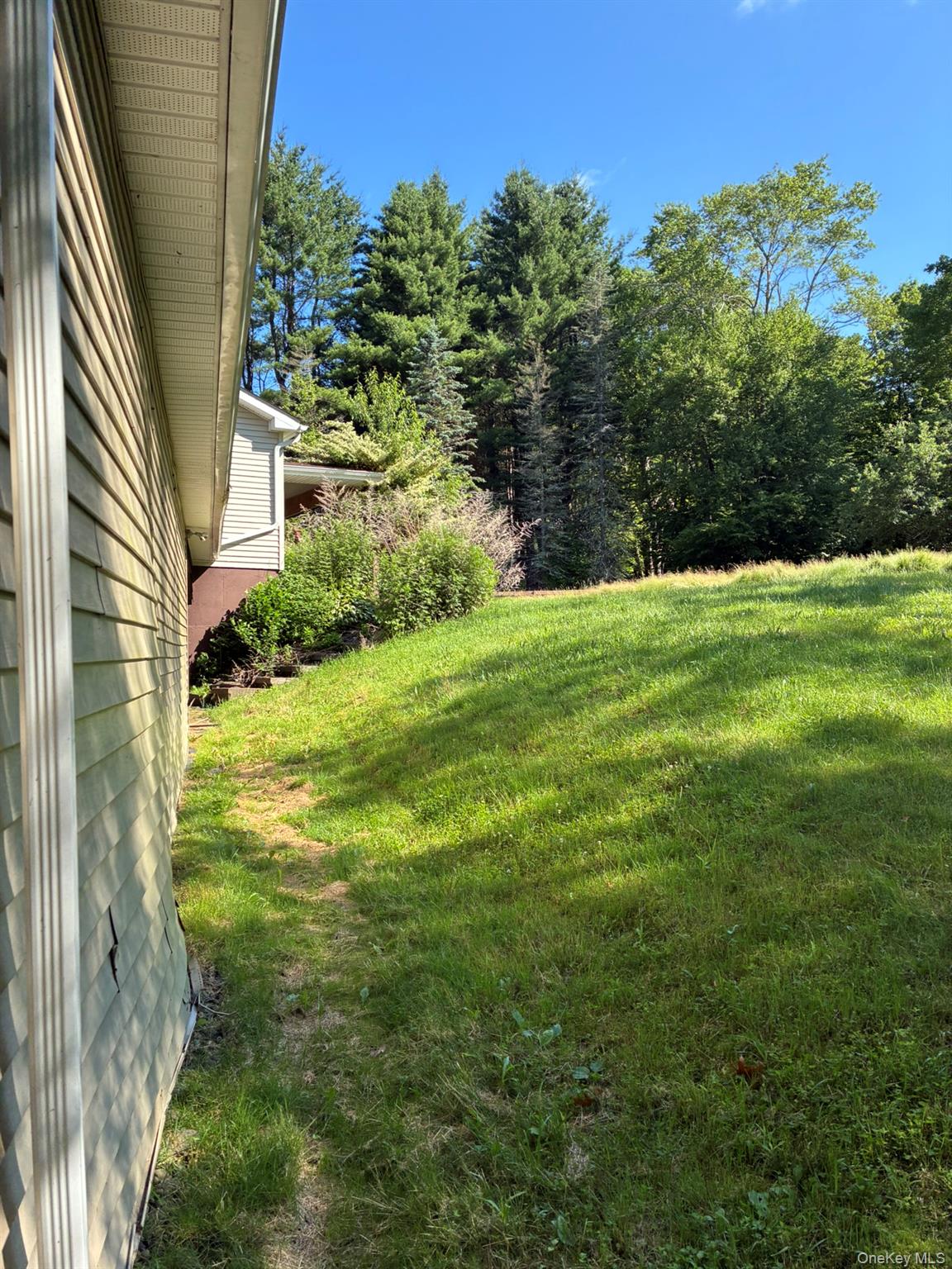 1140 Harvard Road East Branch, NY 13756 - Photo 15 of 29 a view of a yard with an trees in front of it