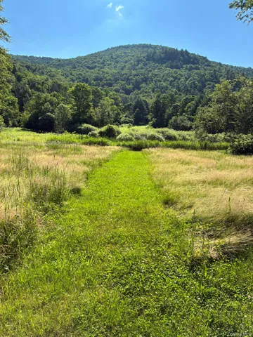 a view of yard with green space