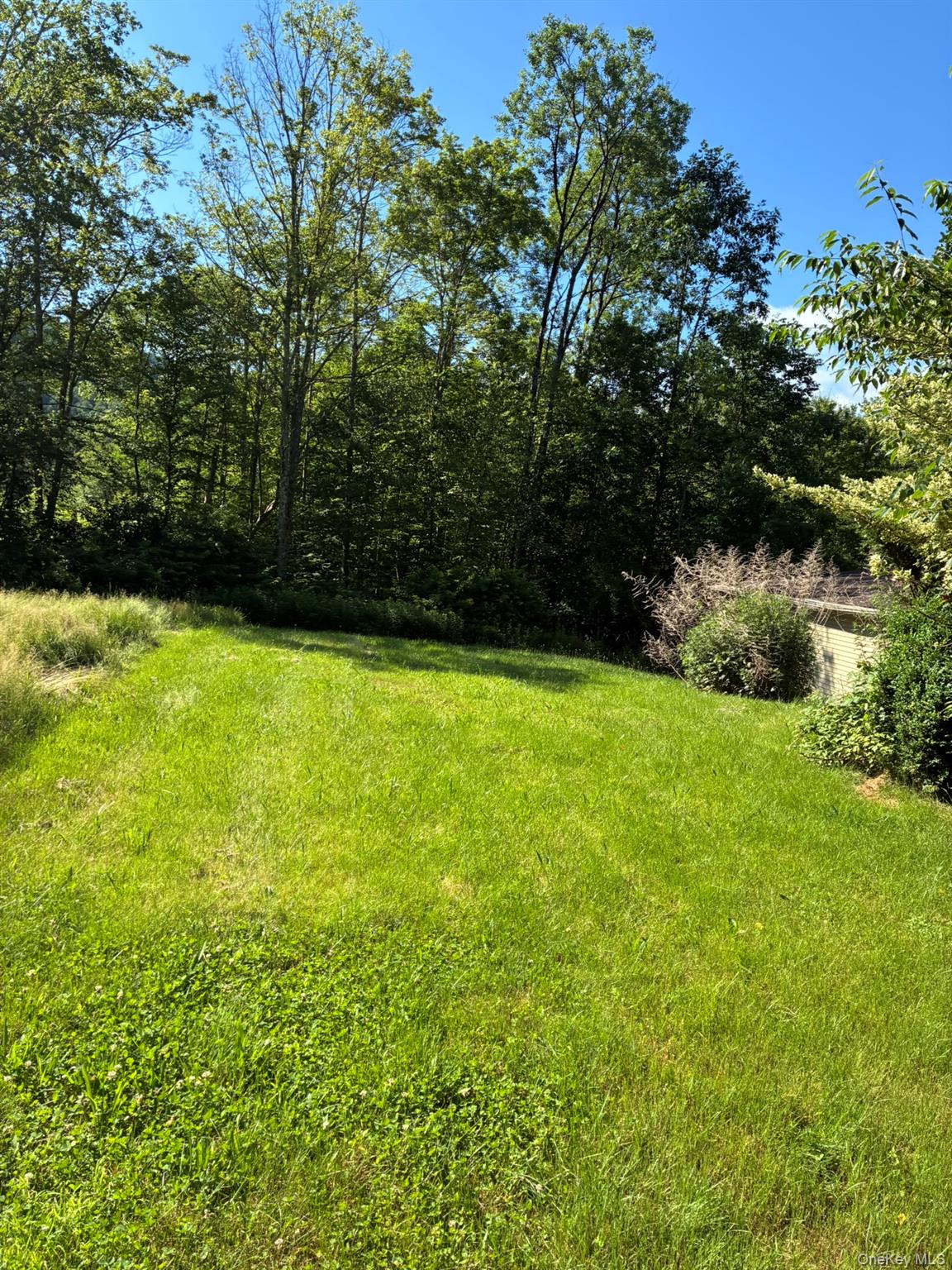 1140 Harvard Road East Branch, NY 13756 - Photo 17 of 29 a view of yard with green space