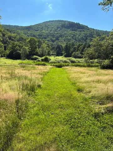 a view of a garden with an outdoor space