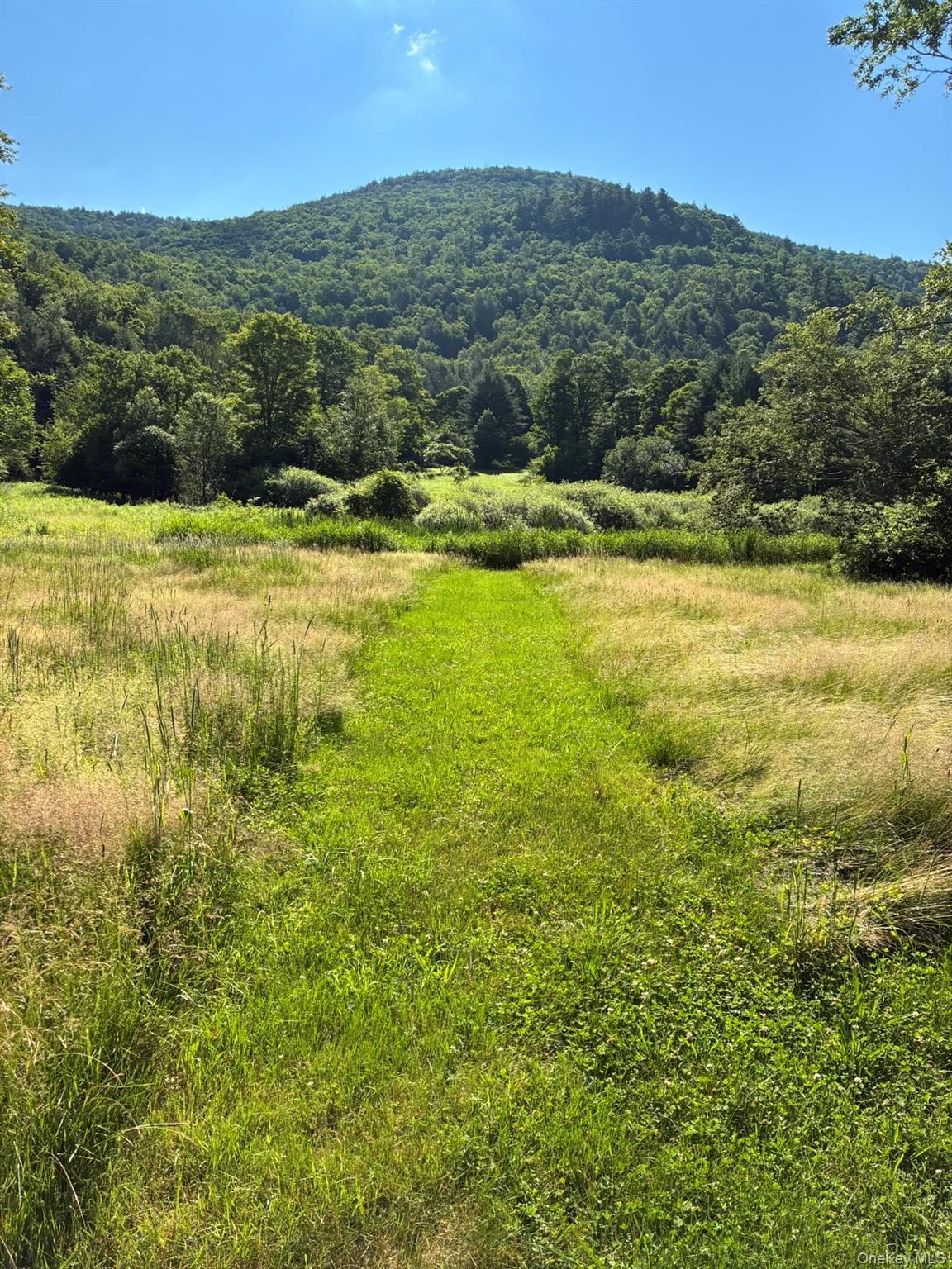 1140 Harvard Road East Branch, NY 13756 - Photo 18 of 29 a view of lake with mountain
