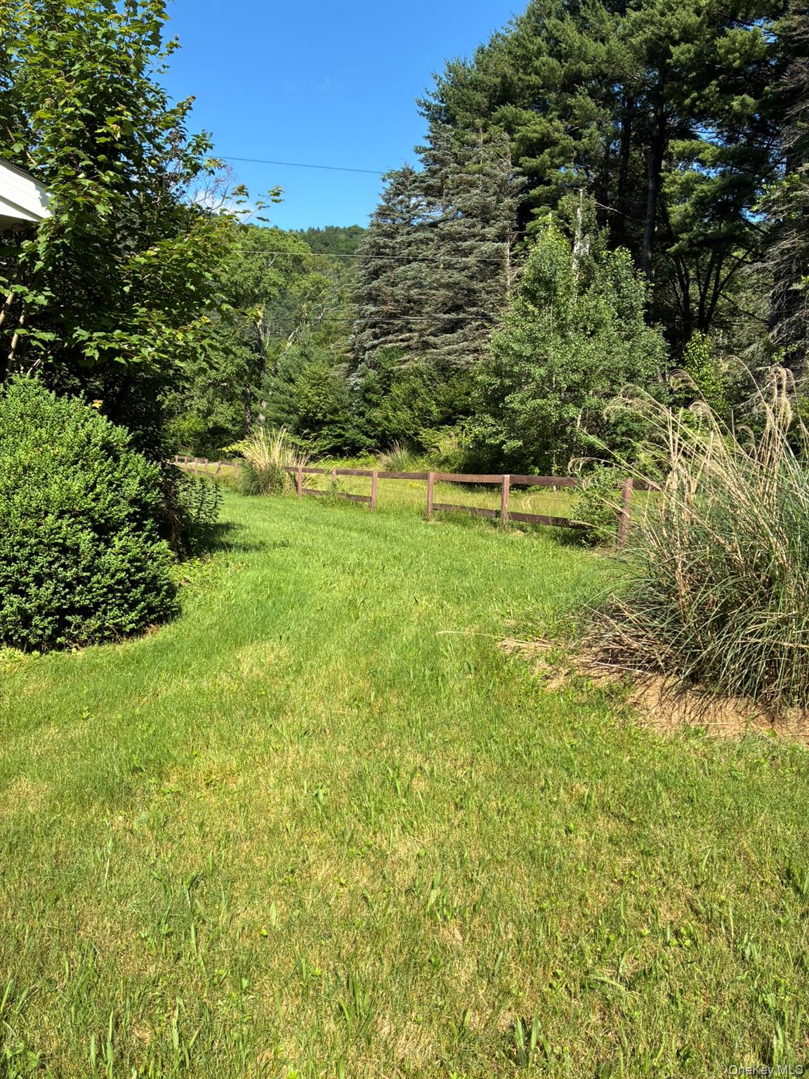 1140 Harvard Road East Branch, NY 13756 - Photo 19 of 29 a view of a garden with an outdoor space