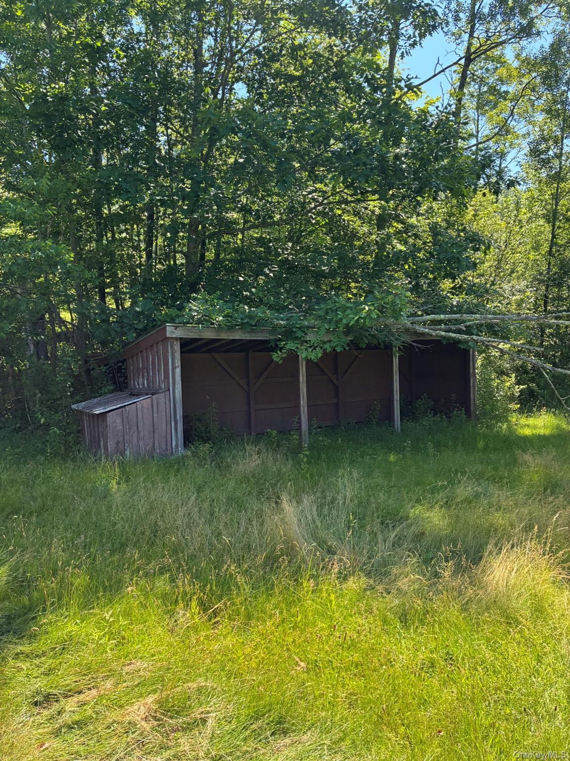 1140 Harvard Road East Branch, NY 13756 - Photo 24 of 29 a backyard of a house with lots of plants and tree