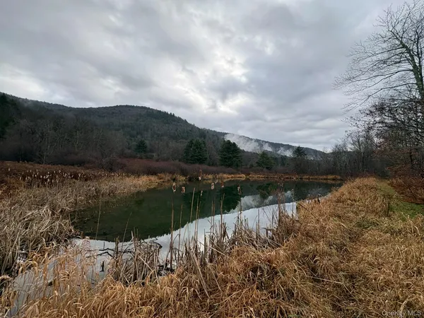$385,000 | 1140 Harvard Road, East Branch, NY 13756