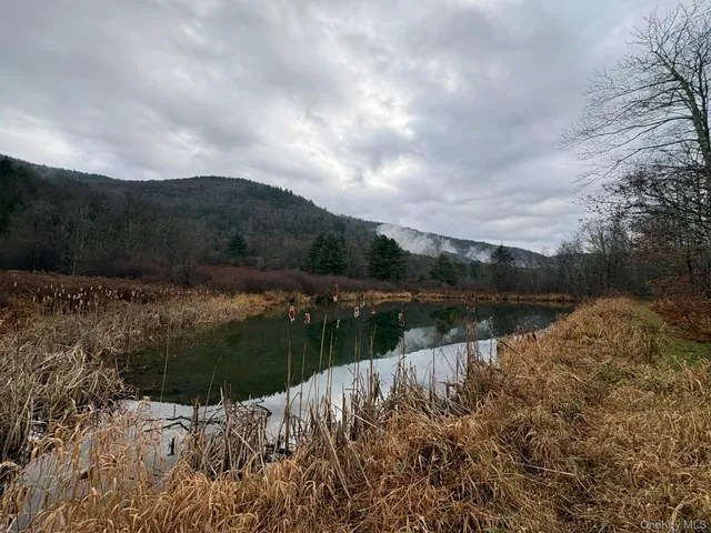 $425,000 | 1140 Harvard Road, East Branch, NY 13756