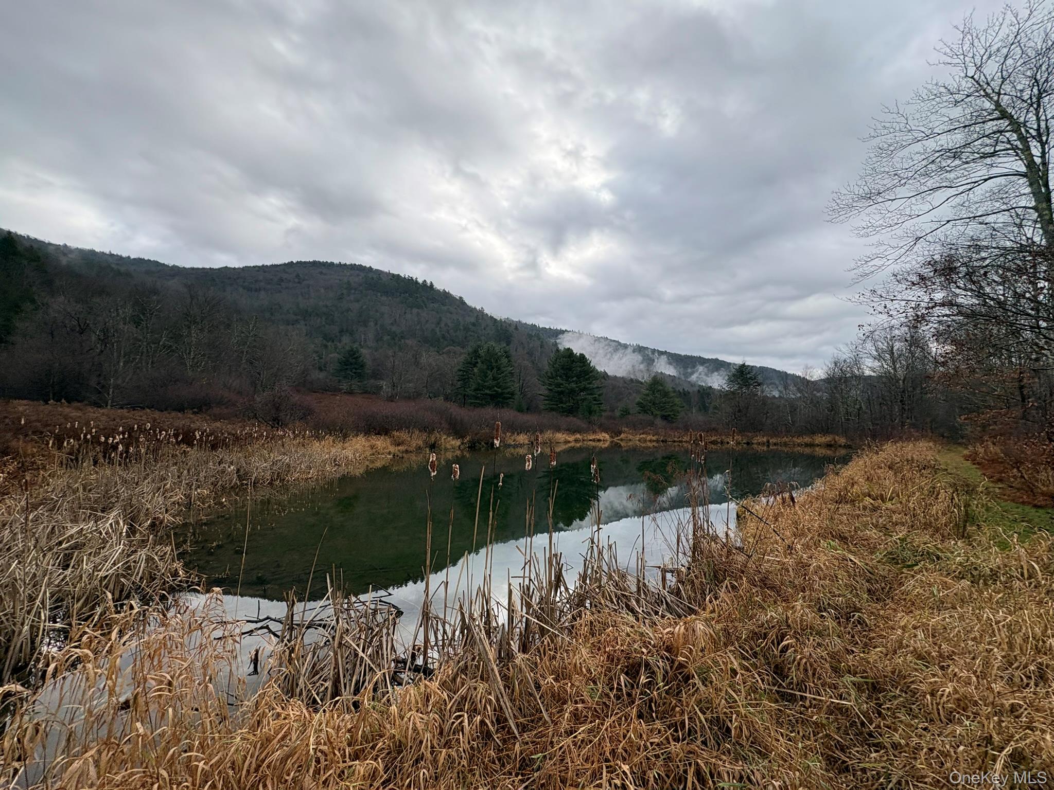 1140 Harvard Road East Branch, NY 13756 - Photo 28 of 29 a view of lake with green space