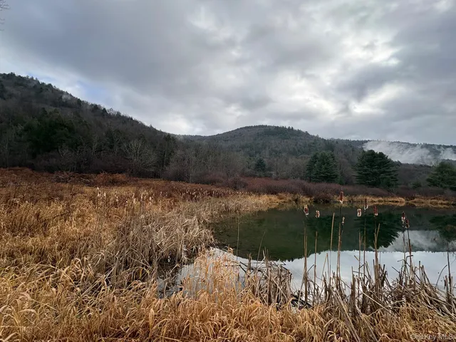 $425,000 | 1140 Harvard Road, East Branch, NY 13756