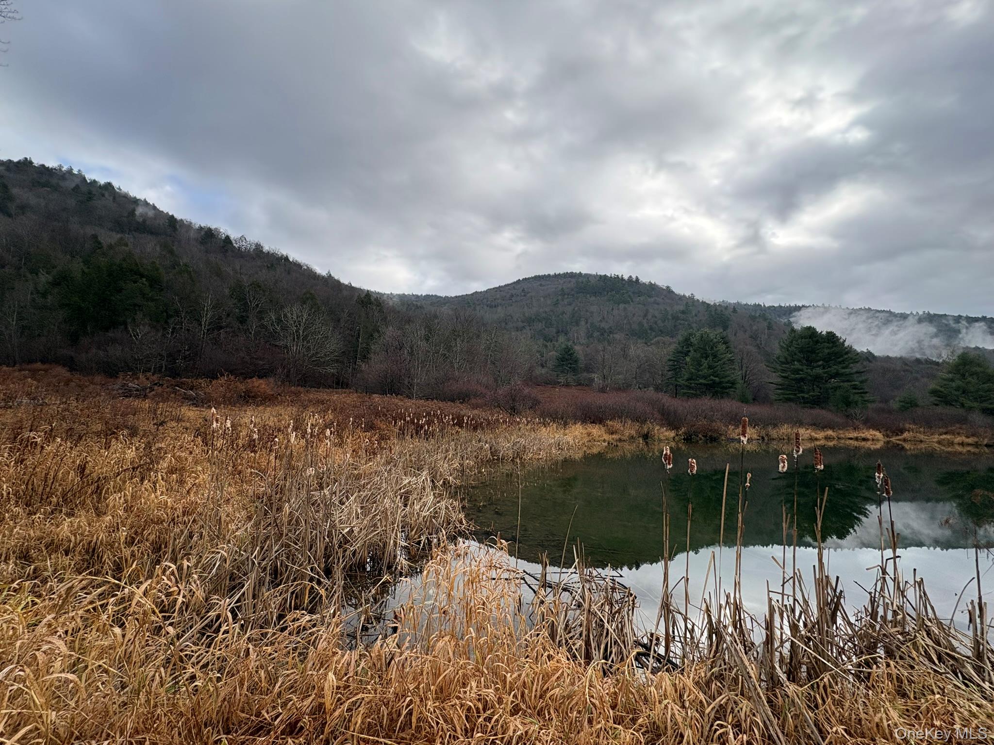 1140 Harvard Road East Branch, NY 13756 - Photo 29 of 29 a view of large trees and mountains in the background