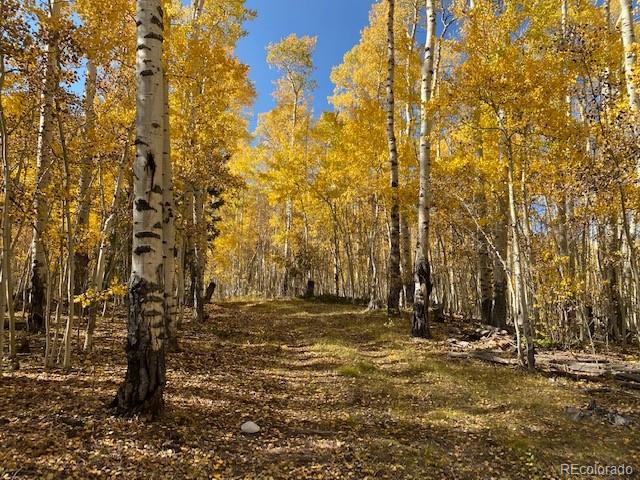 5836 Sheldon Road San Luis, CO 81152 - Photo 18 of 22 Gallery Image 18